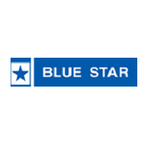 dtkauto-clients-Bluestar